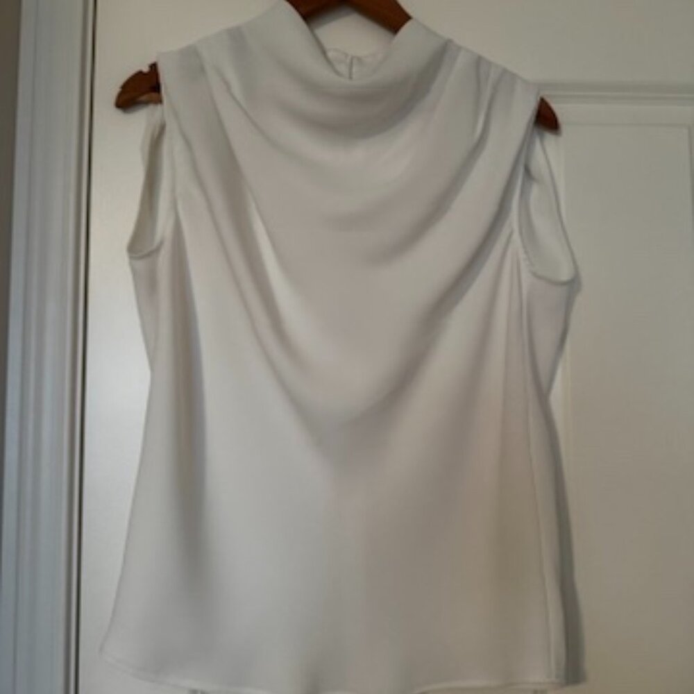 Babaton - Aritzia cowl neck top